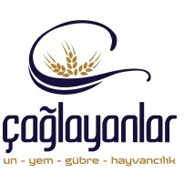 ÇAĞLAYANLAR UN